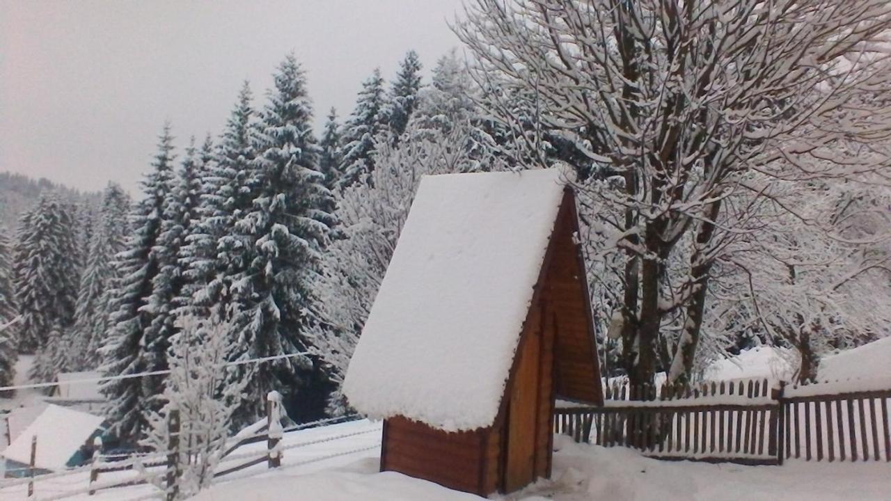 Hotel Marichka à Yablunytsya Extérieur photo
